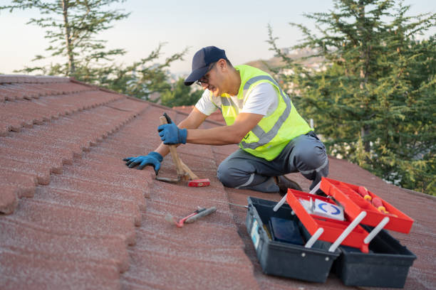 Best Roof Waterproofing Services  in Ames, TX