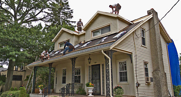 Best Roof Maintenance Services  in Ames, TX